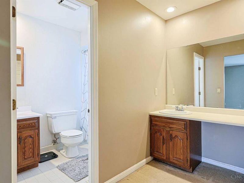 10514 Hopewoods Court, Symmes Township, OH 45249 Photo 26