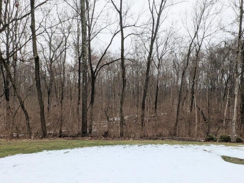 5164 Londonderry Drive, Sharonville, OH 45241 Photo 26