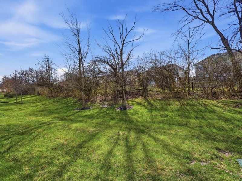 7119 White Oak Court, Mason, OH 45040 Photo 65
