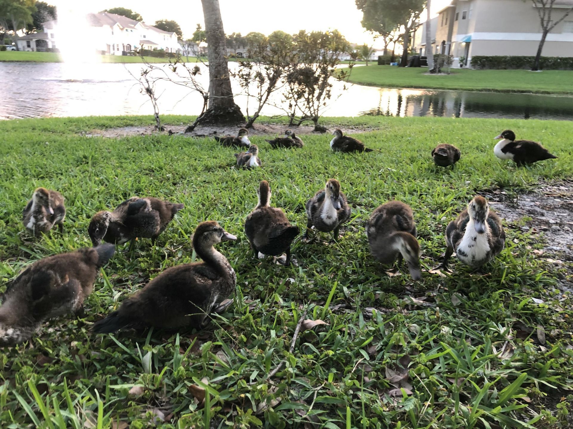 9118 Boca Gardens Parkway, Unit F, Boca Raton, FL 33496 Photo