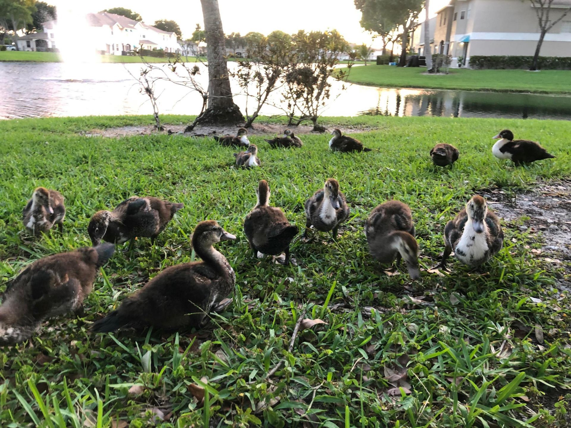 9118 Boca Gardens Parkway, Unit F, Boca Raton, FL 33496 Photo