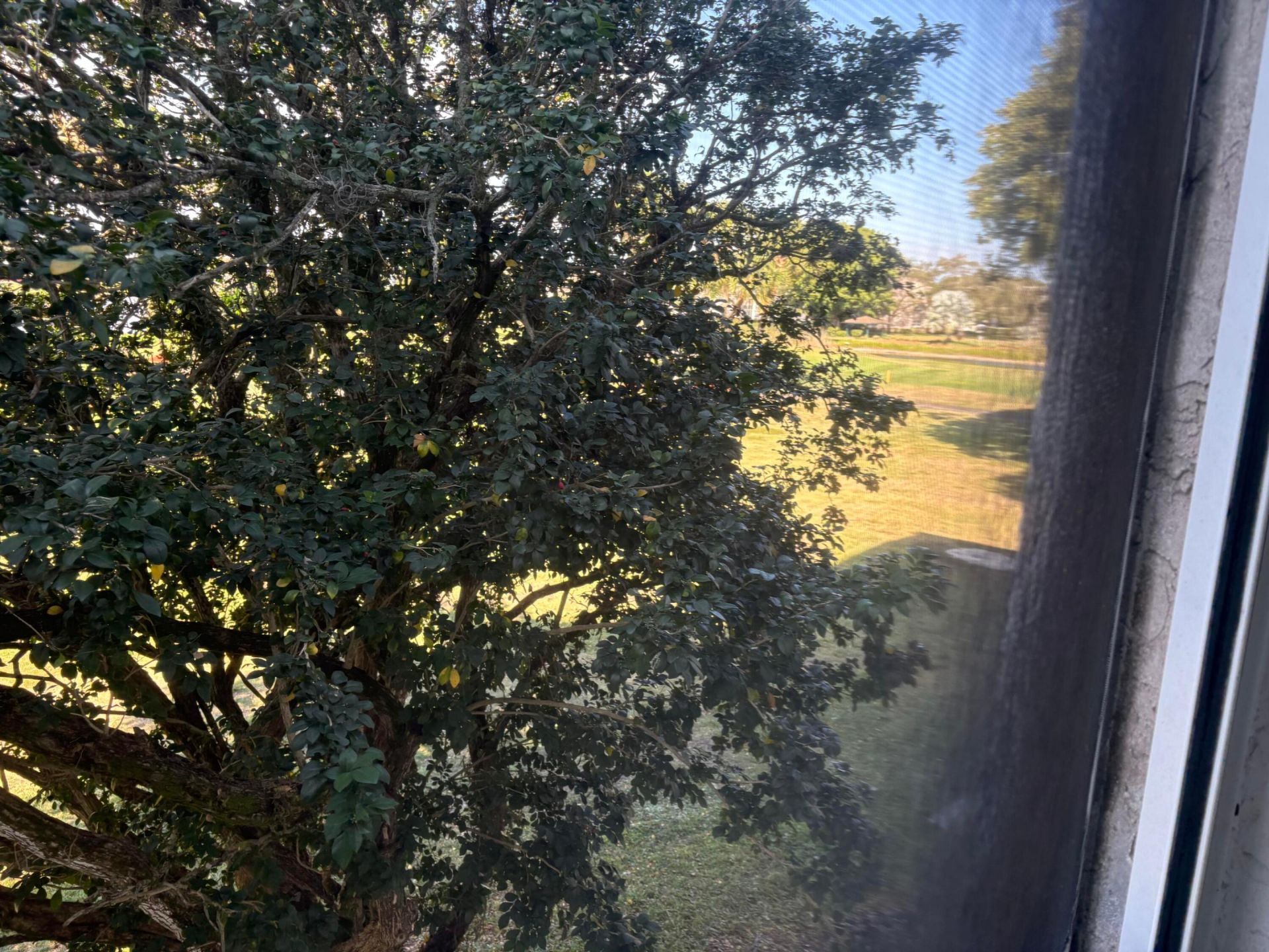 4602 Martinique Way, Unit H2, Coconut Creek, FL 33066 Photo