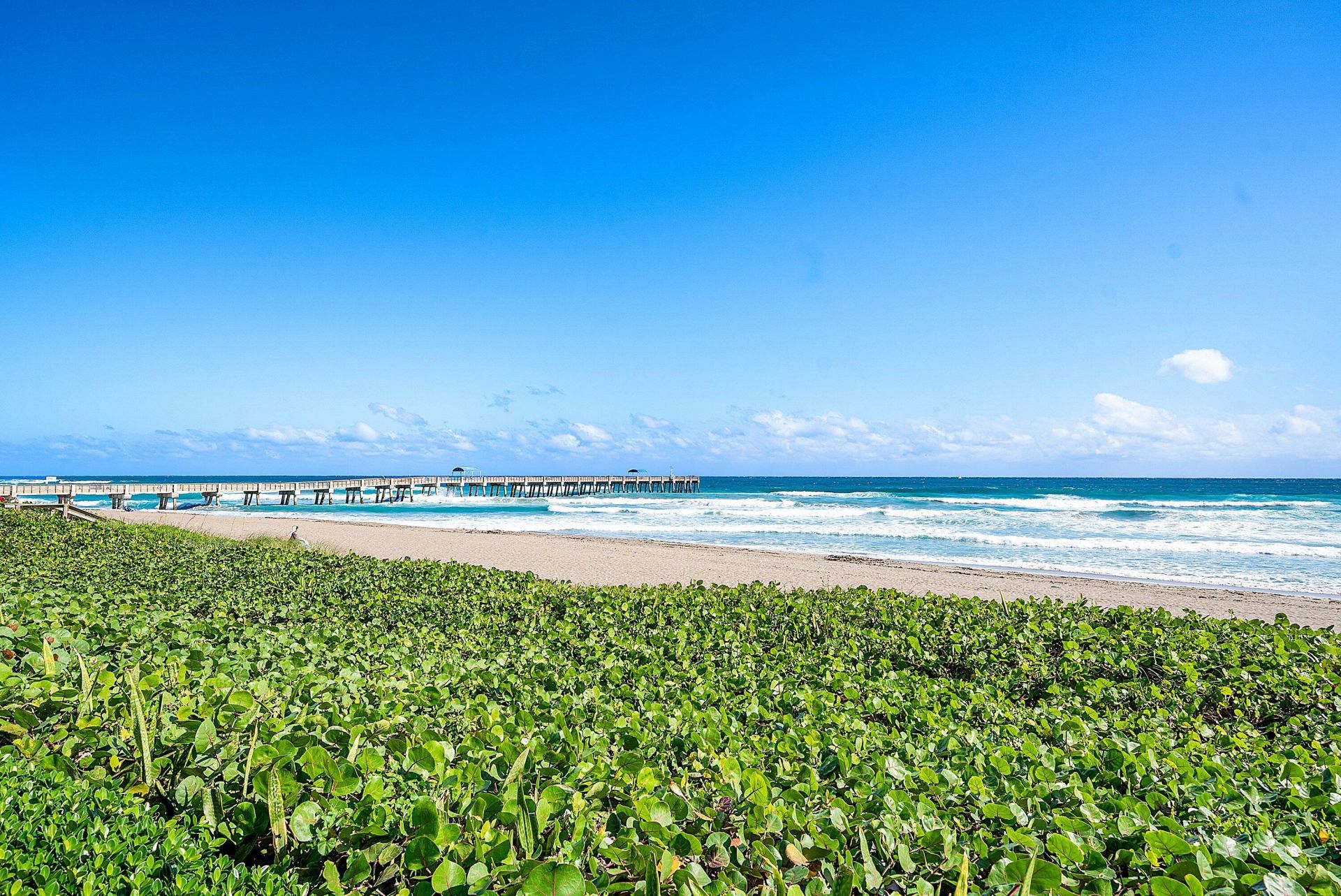 3000 S Ocean Boulevard, Unit 402, Palm Beach, FL 33480 Photo