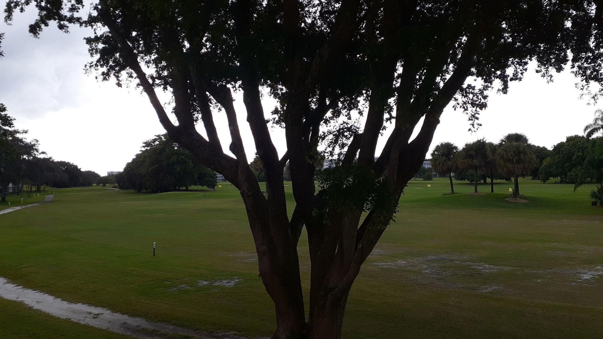 2601 S Course Drive, Unit 203, Pompano Beach, FL 33069 Photo