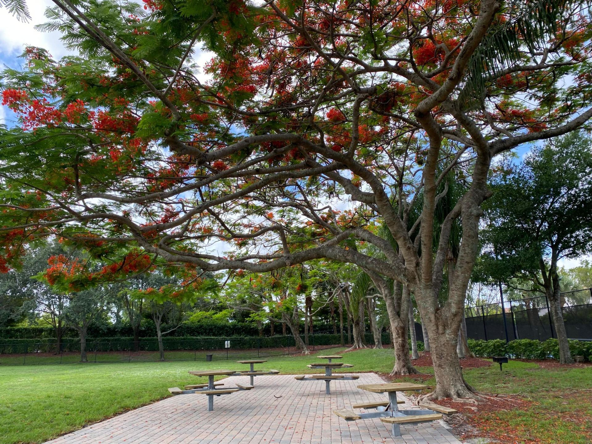 333 Berenger Walk, Royal Palm Beach, FL 33414 Photo