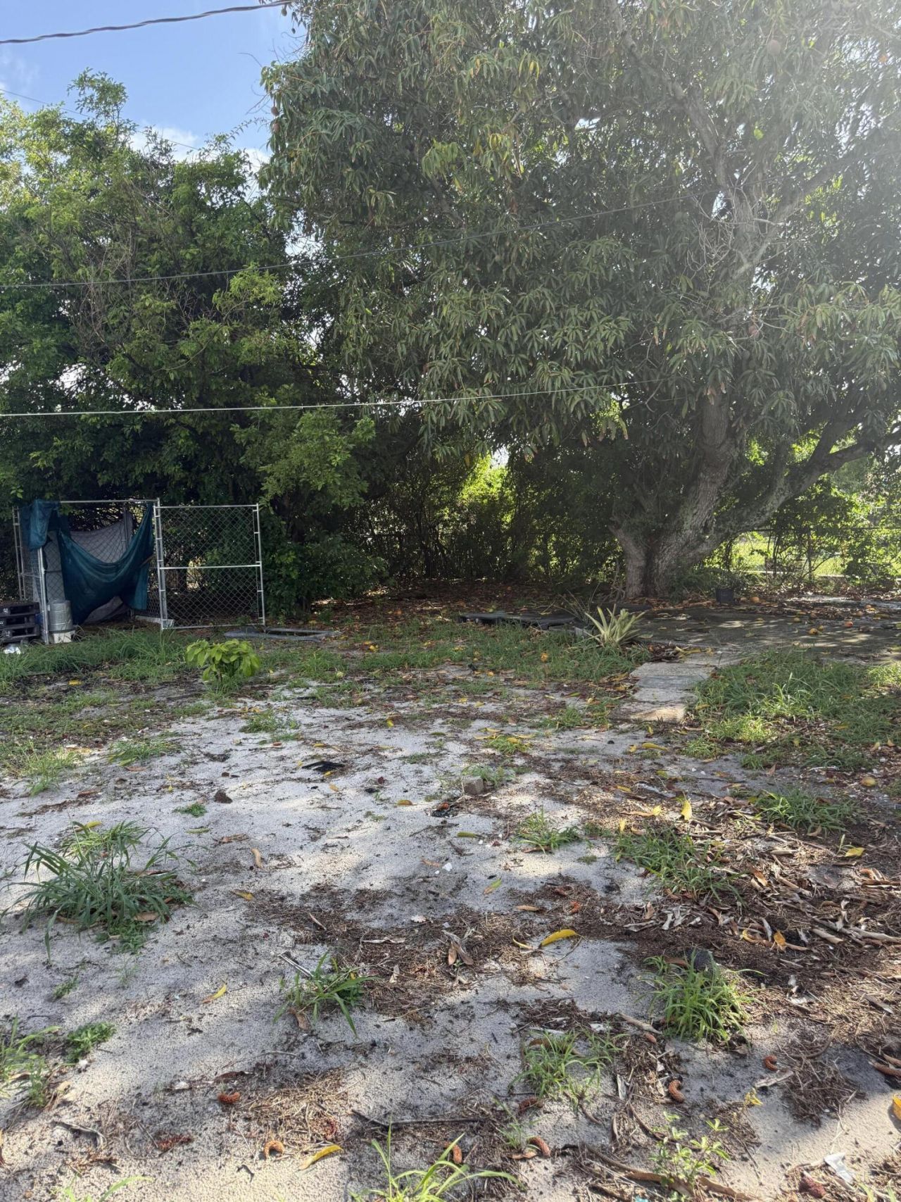 917 W 7th Street, Riviera Beach, FL 33404 Photo