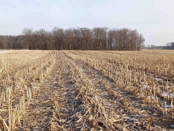 TBD County Road 40 Road, Millersburg, IN 46543