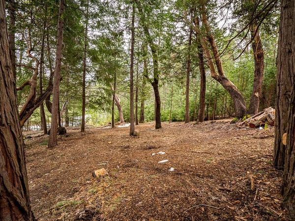 26601 Golf Links, Pioneer, CA 95666