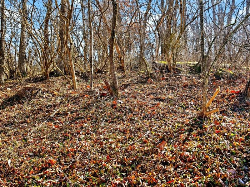 3595 Cooper Road, Blue Ash, OH 45241 Photo 54