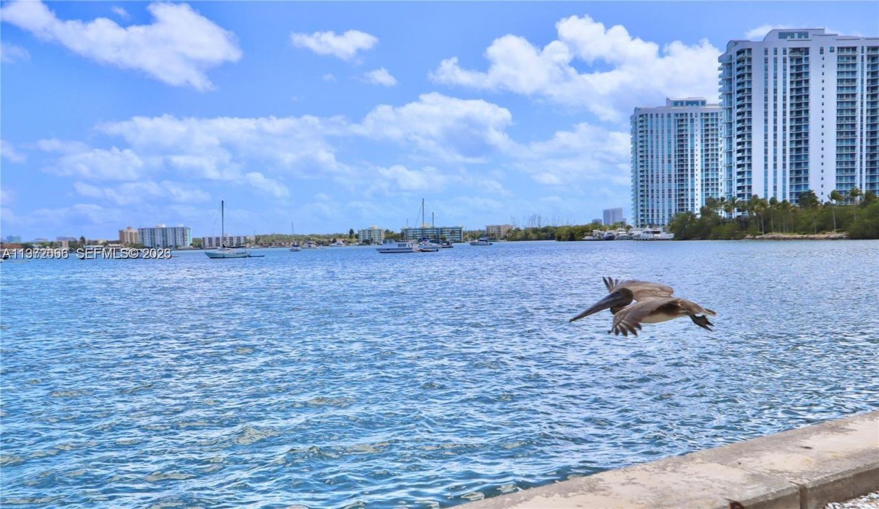 2910 Point East Dr , Unit M204, Aventura, FL 33160 Photo