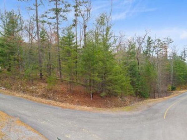 514 Percussion Court, Walland, TN 37886