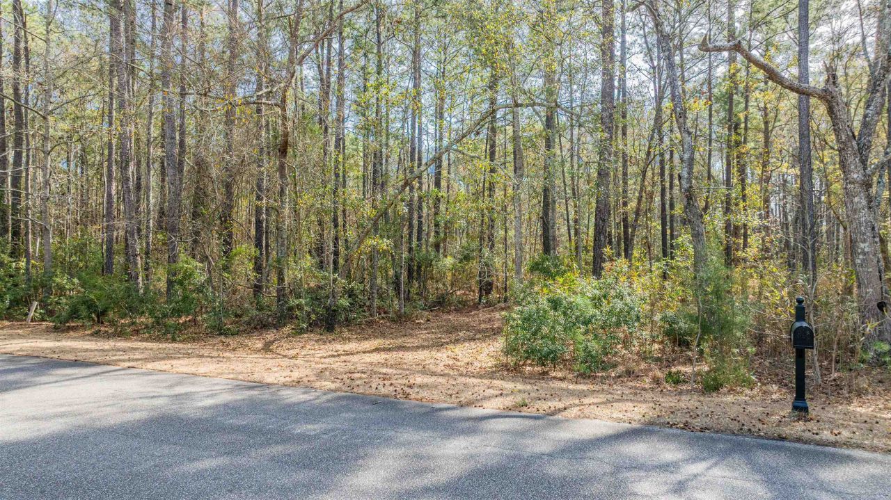 2630 Vanderbilt Blvd.  Photo 12