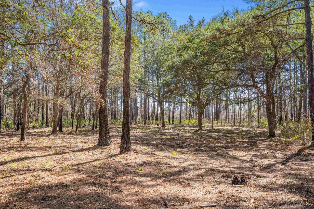 2630 Vanderbilt Blvd.  Photo 13