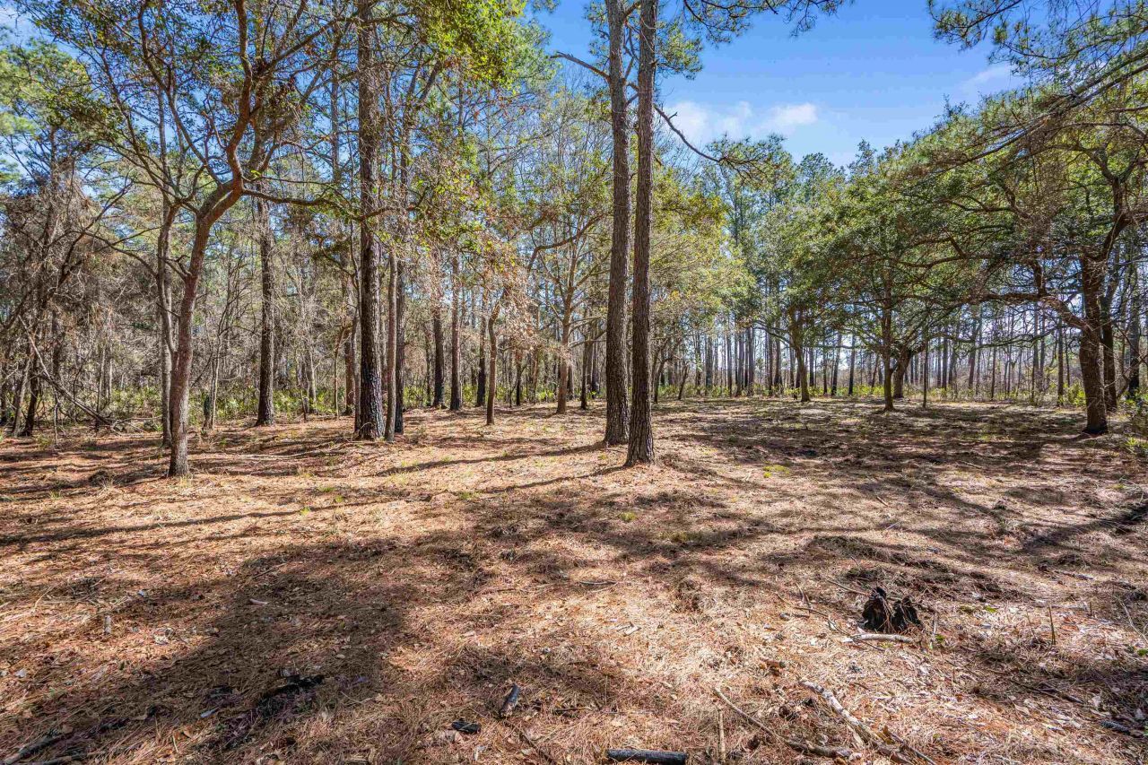 2630 Vanderbilt Blvd.  Photo 14