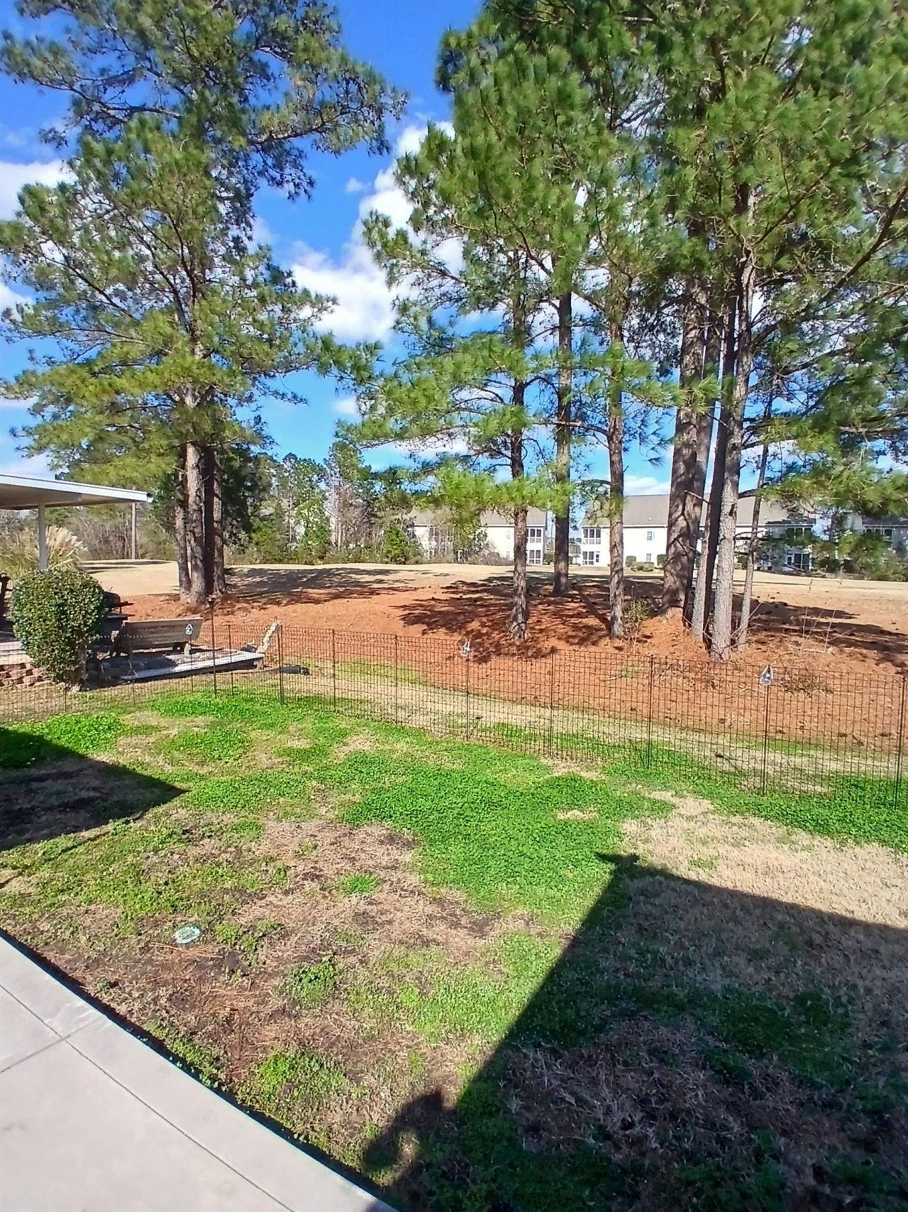 6446 Sweet Gum Trail  Photo 42