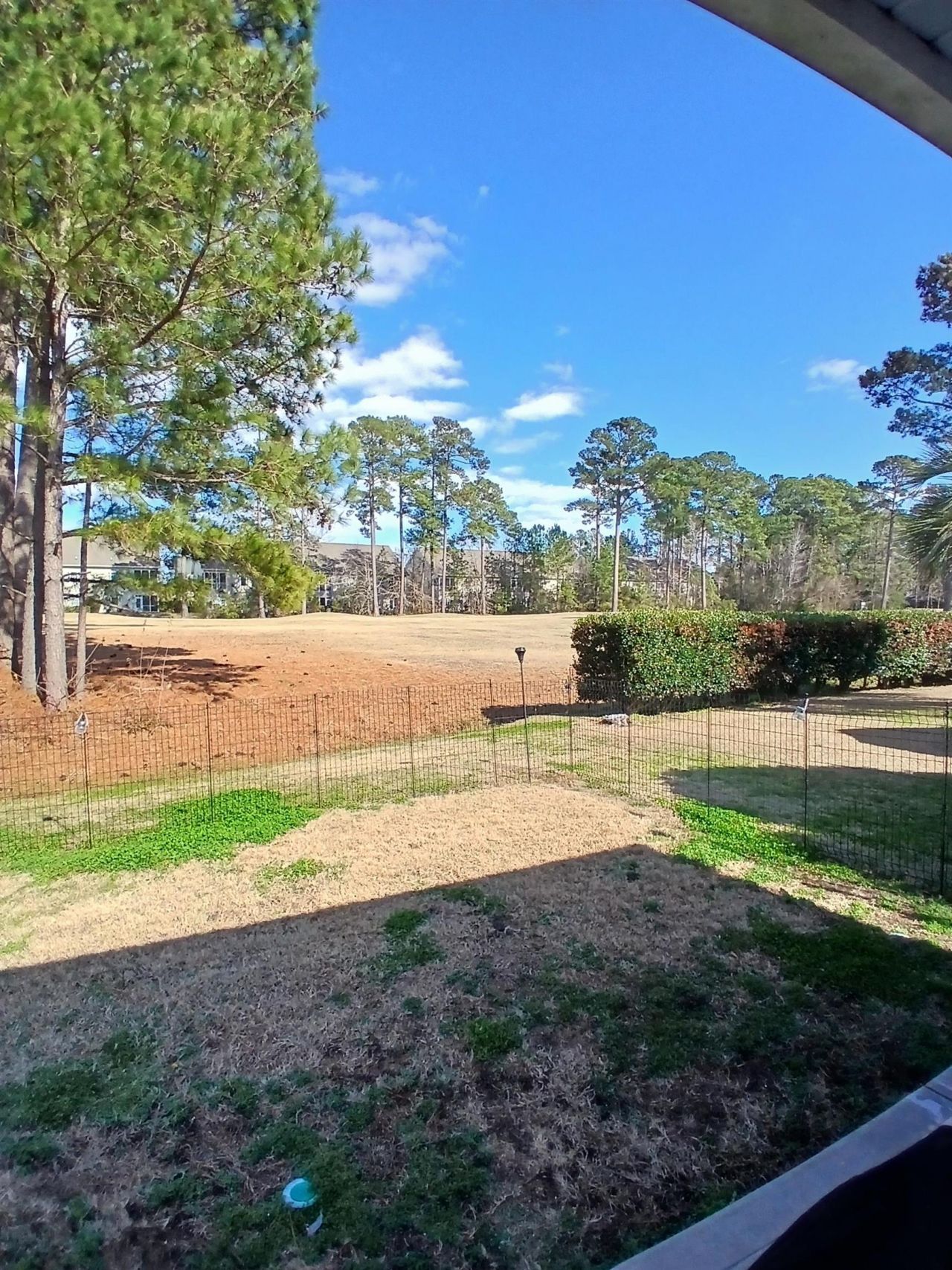 6446 Sweet Gum Trail  Photo 43