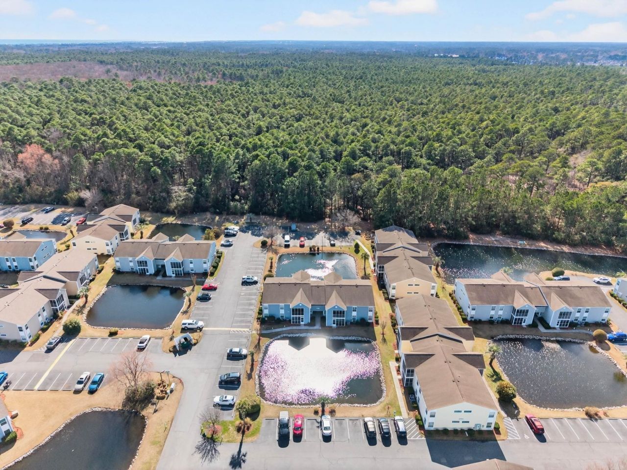 8862 Chandler Dr.  Photo 49