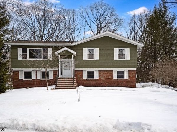 603 Bensel Dr, Mount Arlington, NJ 07850