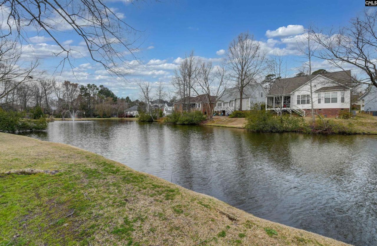 120 Spring Blossom Lane  Photo 41