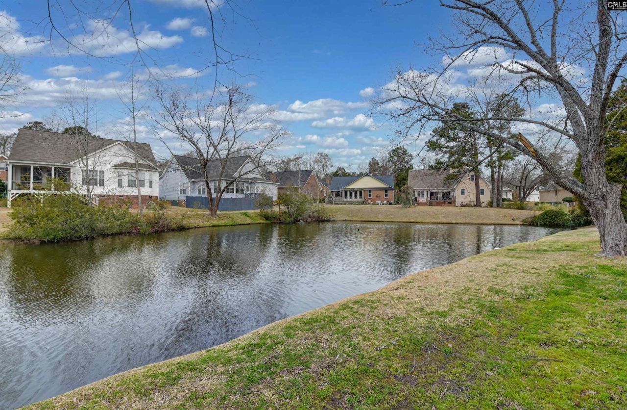 120 Spring Blossom Lane  Photo 42