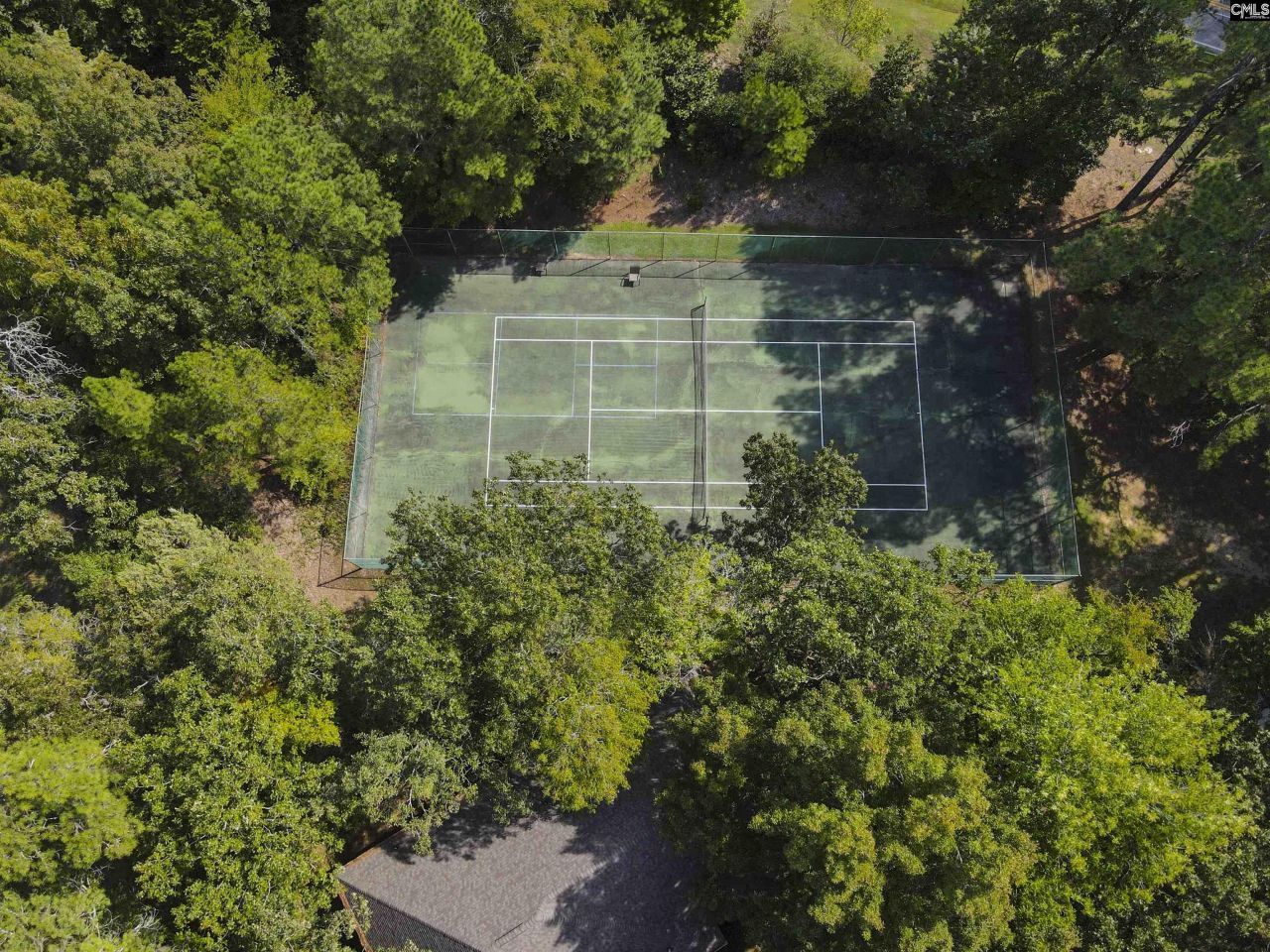 120 Spring Blossom Lane  Photo 47