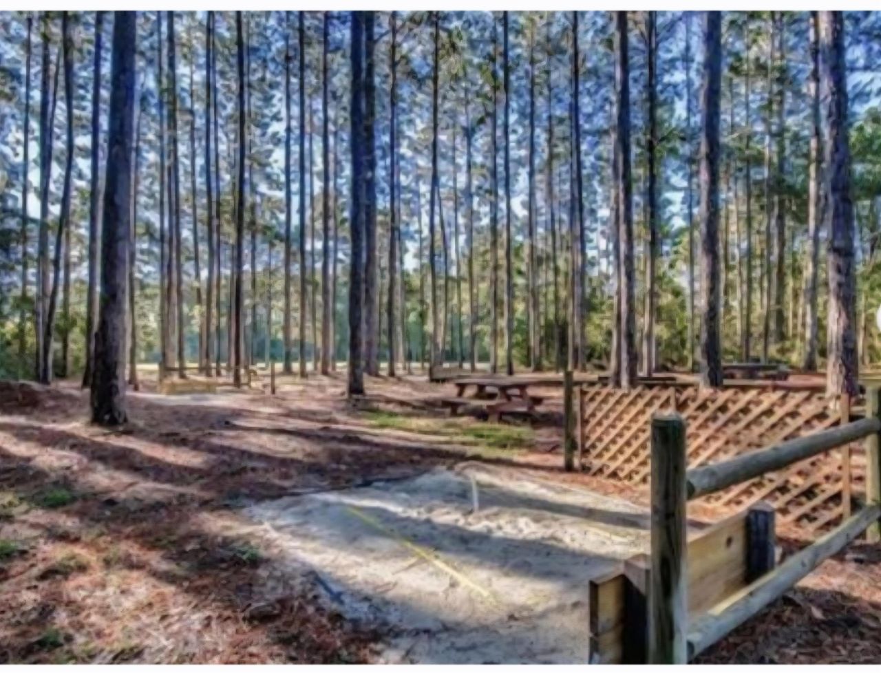 125 Mayberry Ln. Photo 45