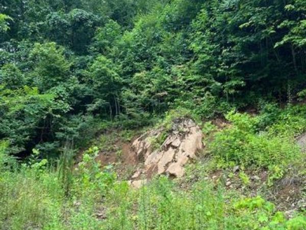 000 Shadyside Drive, Waynesville, NC 28785