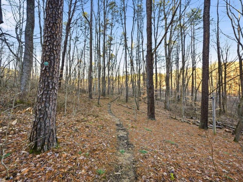 15399 Clapper Hollow Road, Laurelville, OH 43135 Photo 40