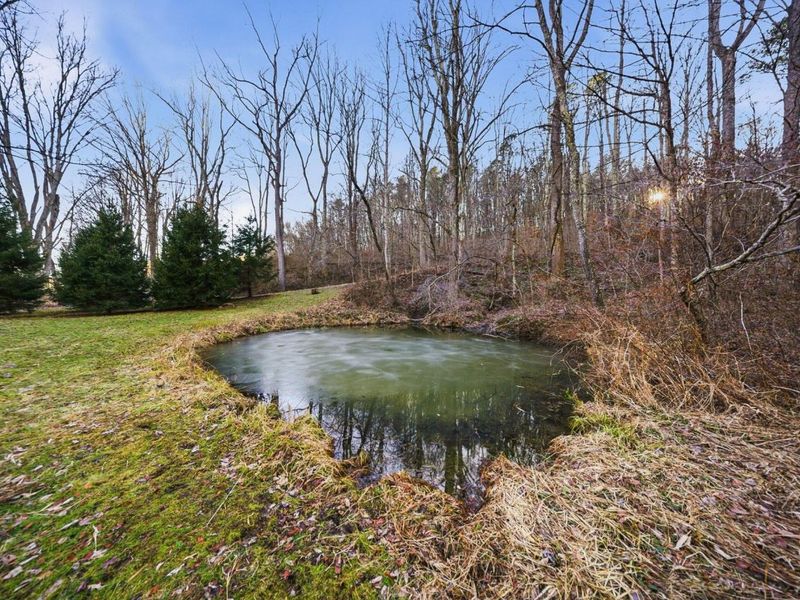 15399 Clapper Hollow Road, Laurelville, OH 43135 Photo 42