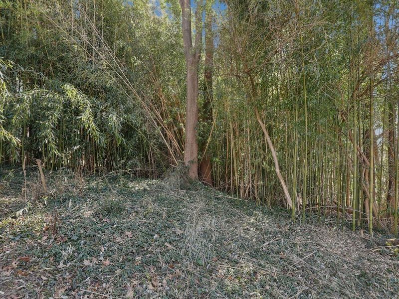 3817 Davenant Avenue, Cincinnati, OH 45213 Photo 46