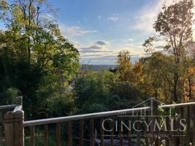 3817 Davenant Avenue, Cincinnati, OH 45213 Photo 47