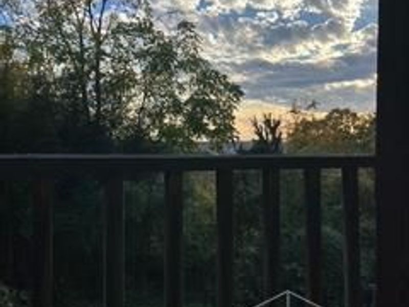 3817 Davenant Avenue, Cincinnati, OH 45213 Photo 49