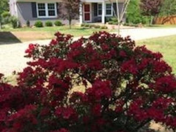 2600 EARLYSVILLE RD, EARLYSVILLE, VA 22936