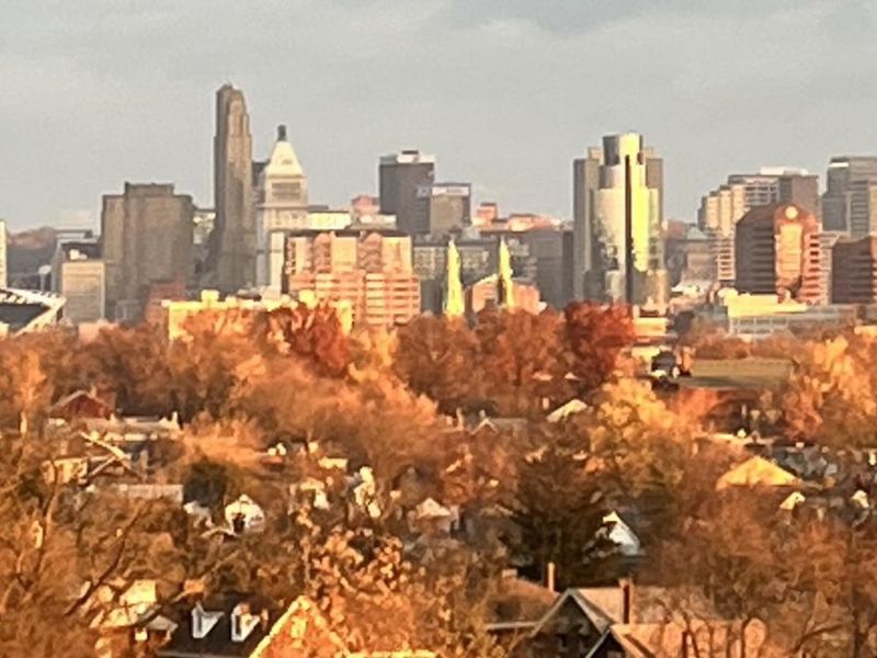 651 Pointe Benton Lane, Covington, KY 41014 Photo 49