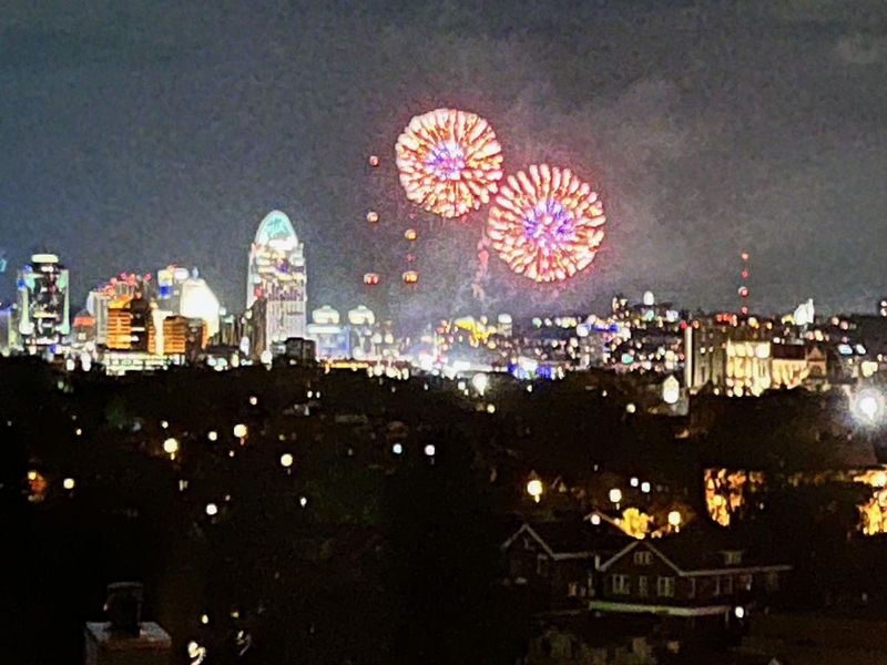 651 Pointe Benton Lane, Covington, KY 41014 Photo 50