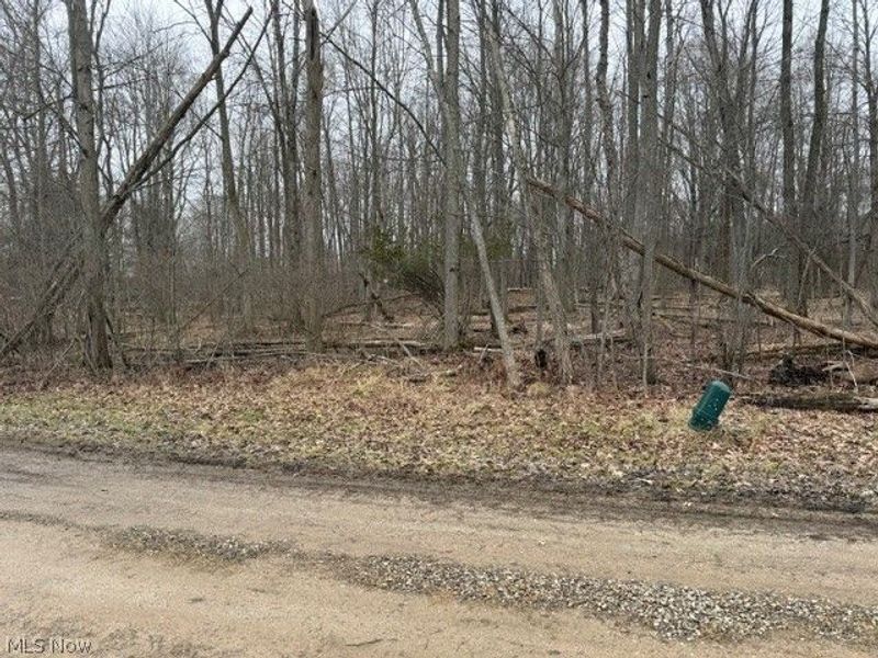 Golf Course Drive, Norton, OH 44203 Photo 2