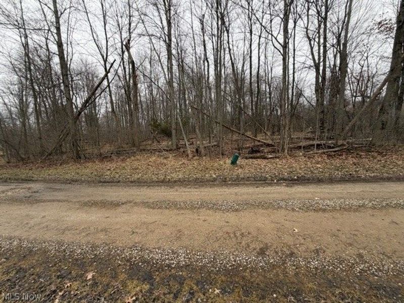 Golf Course Drive, Norton, OH 44203 Photo 3