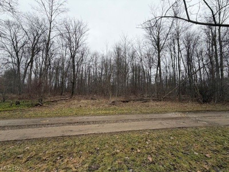 Golf Course Drive, Norton, OH 44203 Photo 4