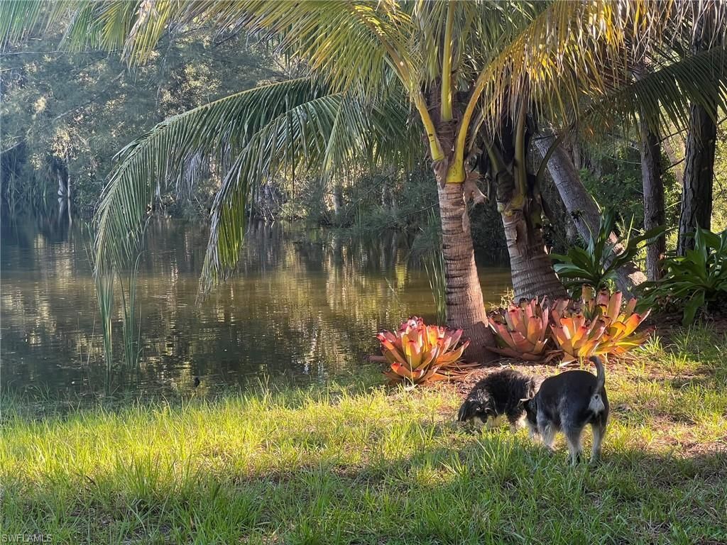 10071 Strike Ln, Bonita Springs, FL 34135 Photo