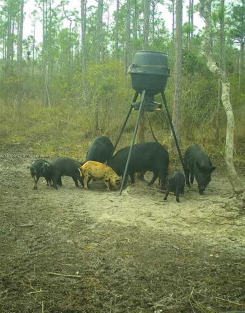 11500 SW Warfield, Indiantown, FL 34956 Photo