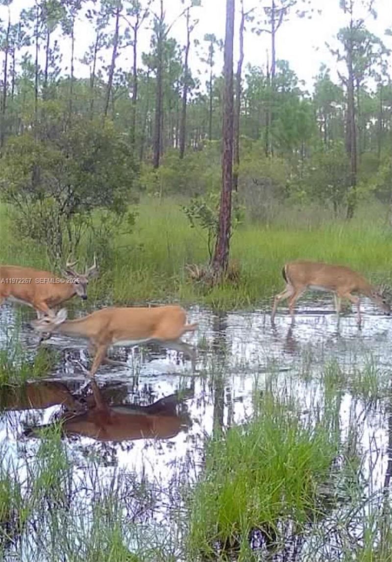 11500 SW Warfield, Indiantown, FL 34956 Photo