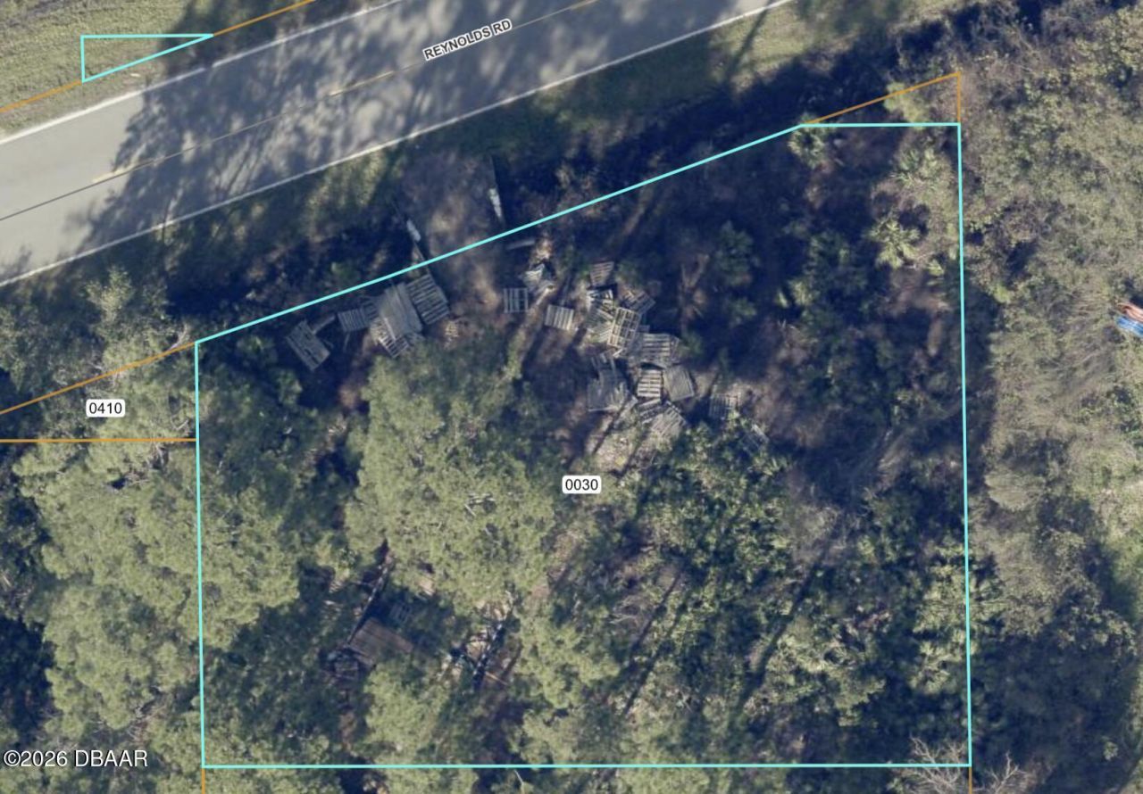 0 Reynolds Road, De Leon Springs, FL 32130 Photo