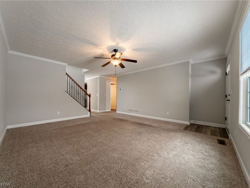 8708 Wakefield Run, North Ridgeville, OH 44039 Photo 4