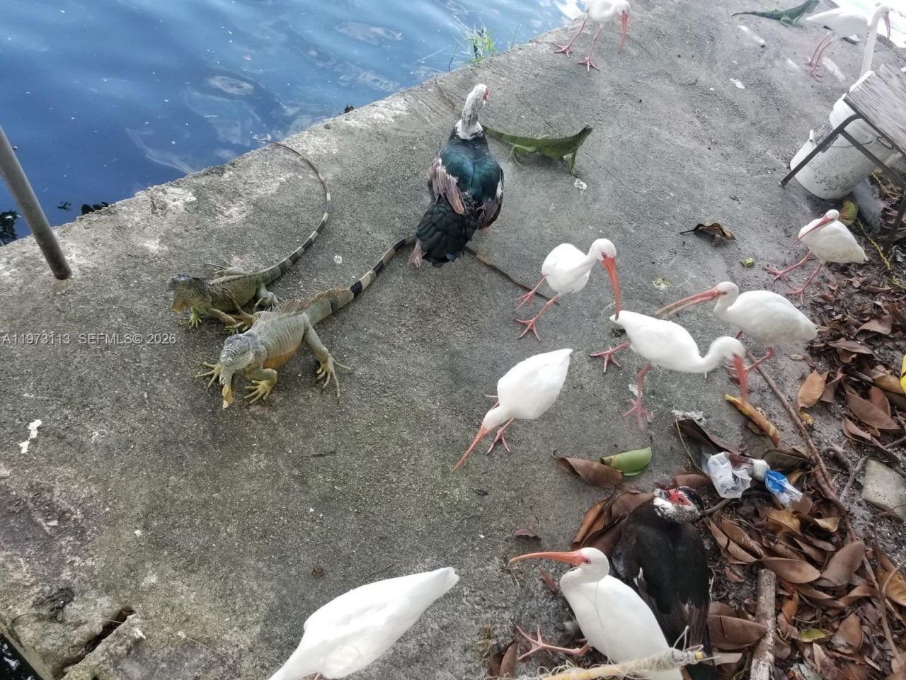 801 S Biscayne River Dr , Miami, FL 33169 Photo