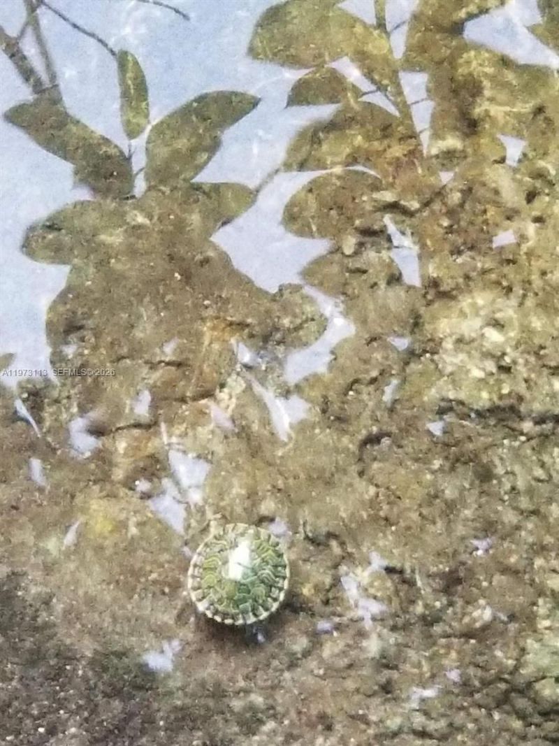 801 S Biscayne River Dr , Miami, FL 33169 Photo