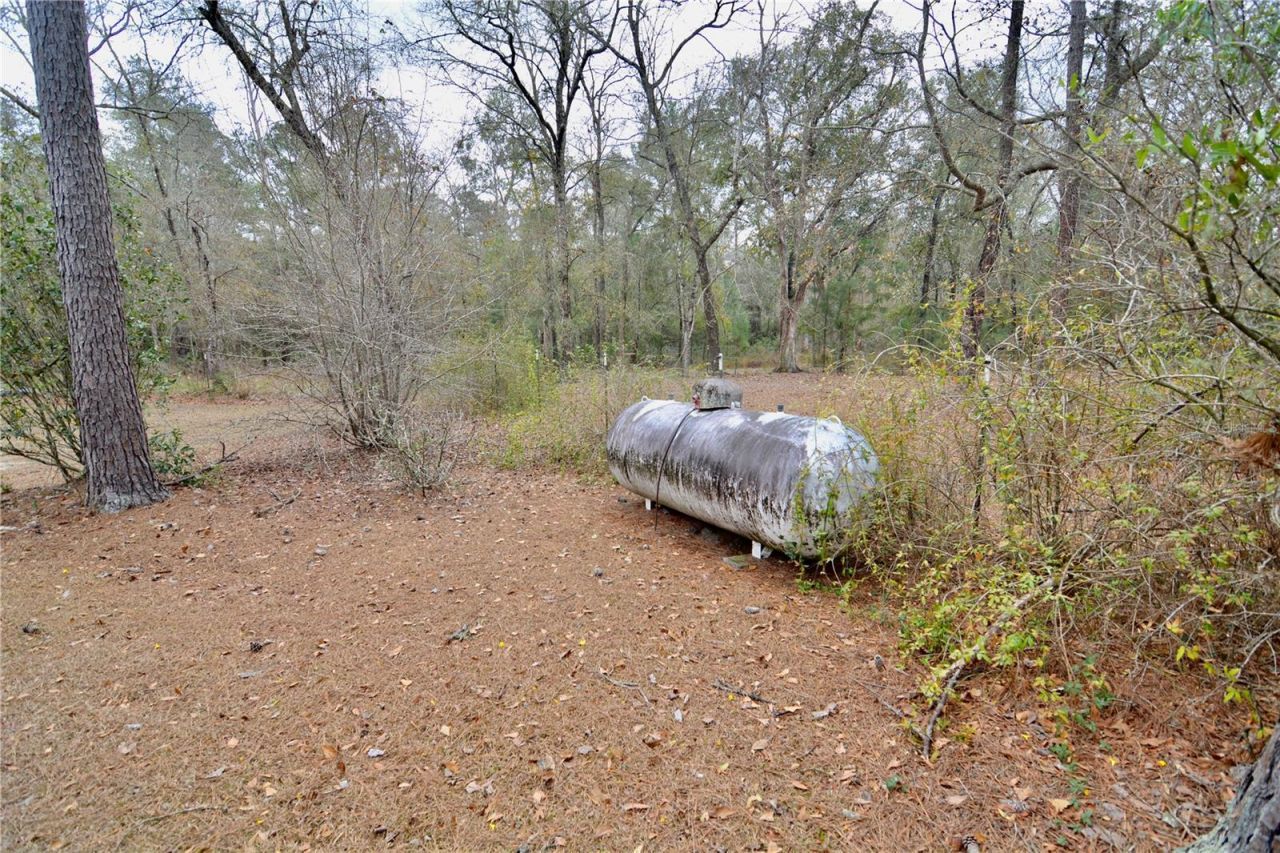 210 Tucker Springs Road , Sopchoppy, FL 32358 Photo