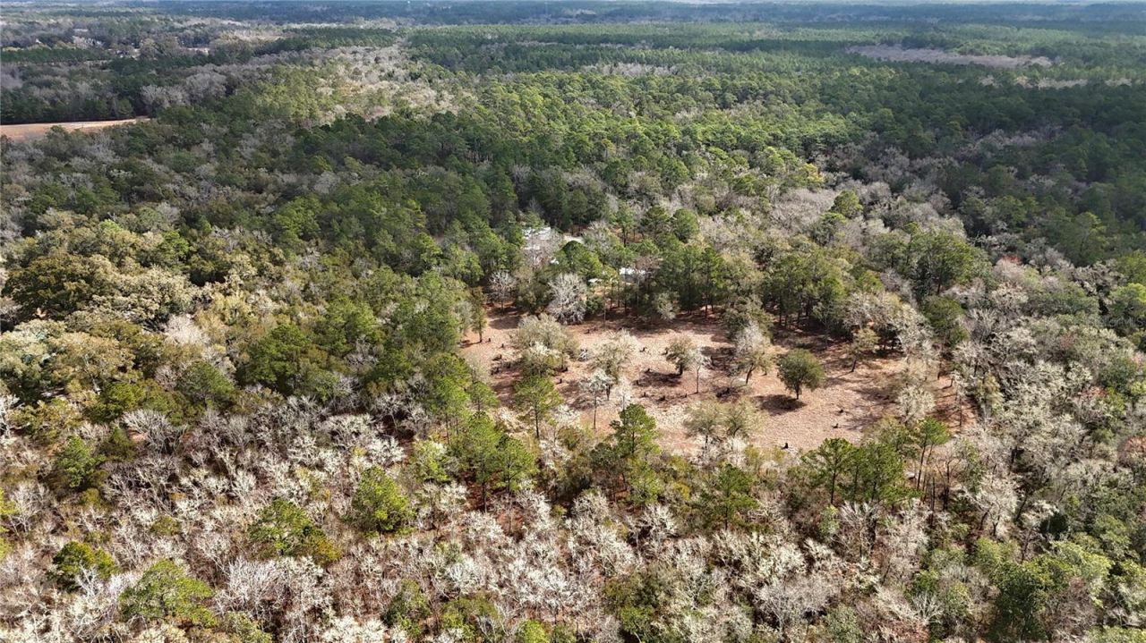 210 Tucker Springs Road , Sopchoppy, FL 32358 Photo