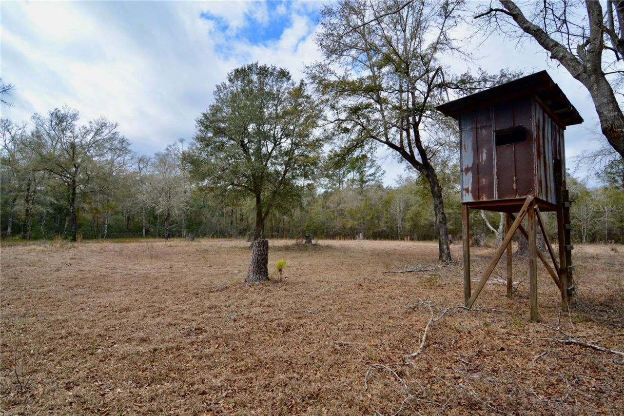 210 Tucker Springs Road , Sopchoppy, FL 32358 Photo