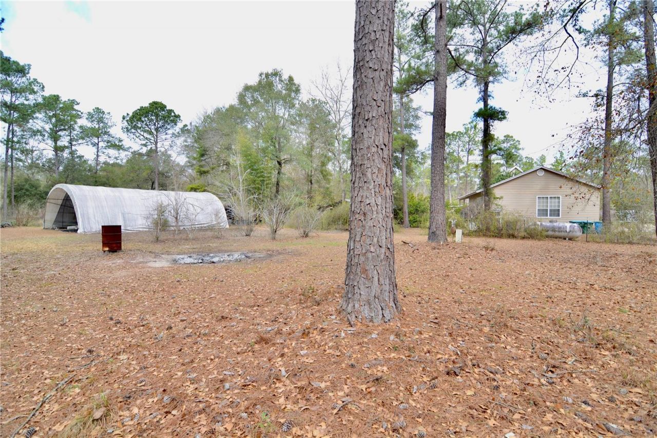 210 Tucker Springs Road , Sopchoppy, FL 32358 Photo