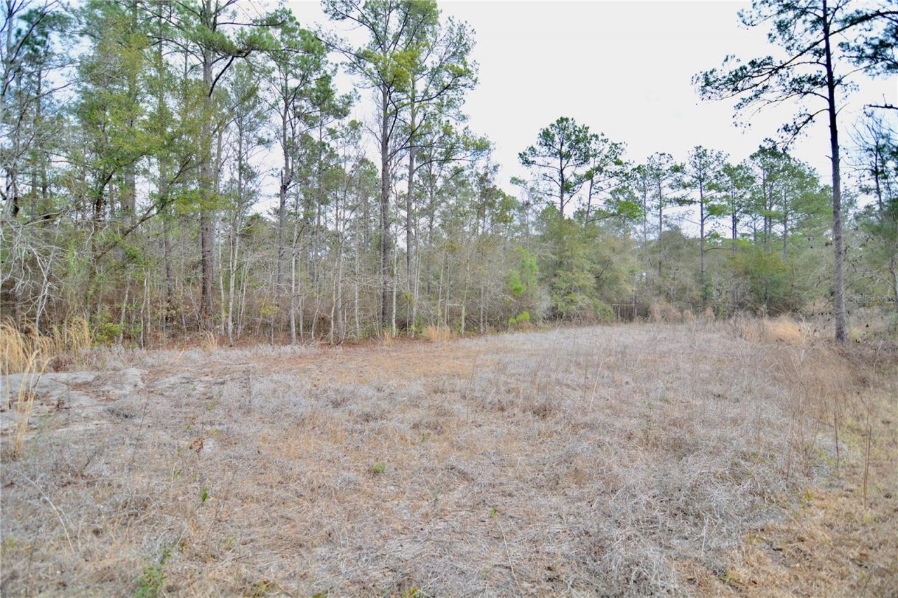 210 Tucker Springs Road , Sopchoppy, FL 32358 Photo